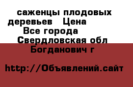 саженцы плодовых деревьев › Цена ­ 6 080 - Все города  »    . Свердловская обл.,Богданович г.